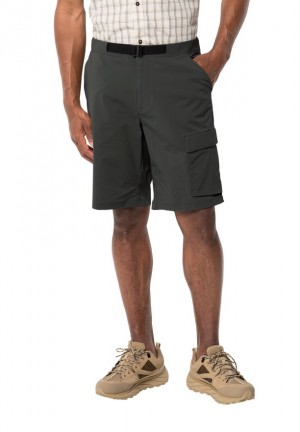 Black Men Jack Wolfskin Wanderthirst Shorts | 81456940