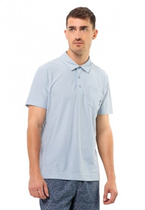 Blue Men Jack Wolfskin Terral Polo Shirts | 54899069