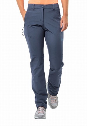 Blue Women Jack Wolfskin Holdsteig Hiking Pants | 45099748