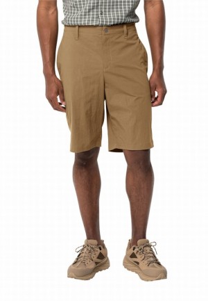 Brown Men Jack Wolfskin Desert Shorts | 69968616