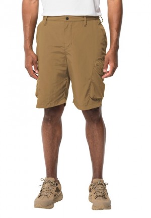 Brown Men Jack Wolfskin Kalahari Cargo Shorts | 46380560