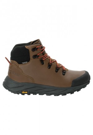 Brown Men Jack Wolfskin Terraquest X Texapore Mid Hiking Shoes | 45888885