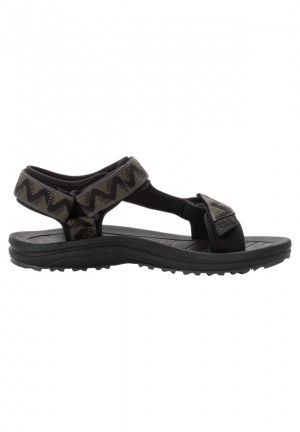 Brown Men Jack Wolfskin Wave Breaker Sandals | 30776542