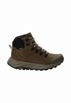 Brown Women Jack Wolfskin Terraquest X Texapore Mid Hiking Shoes | 88110123