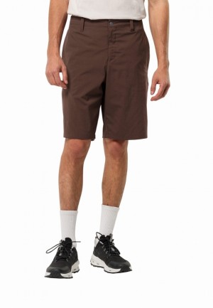 Chocolate Men Jack Wolfskin Desert Shorts | 23292587