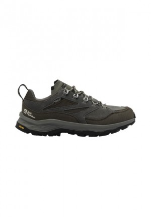 Coffee Men Jack Wolfskin Cyrox Texapore Low Hiking Shoes | 23627586