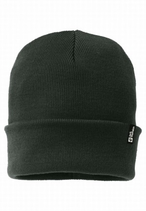 Green Men Jack Wolfskin Rib Beanie | 10846172