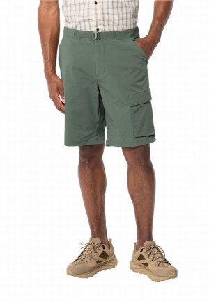 Green Men Jack Wolfskin Wanderthirst Shorts | 61312733