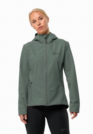 Green Women Jack Wolfskin Bornberg Hoody Softshell Jackets | 17046882