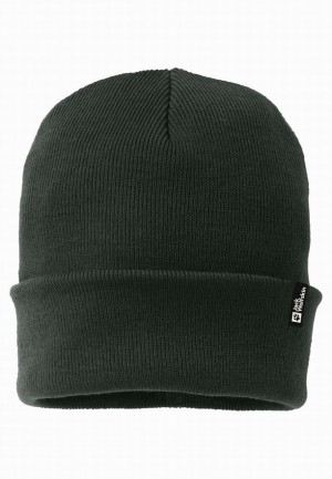 Green Women Jack Wolfskin Rib Beanie | 18061111
