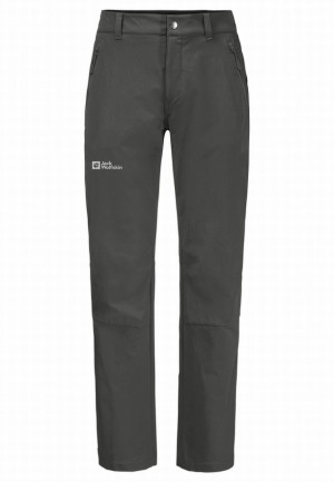 Grey Men Jack Wolfskin Activate Xt Hiking Pants | 33897429