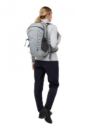 Grey Men Jack Wolfskin Cyrox Shape 20 Hiking Backpack | 84813128
