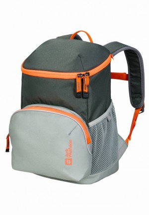 Grey Men Jack Wolfskin Erlebnis Backpacks | 76925898
