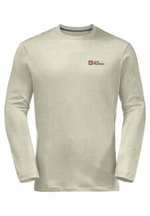 Grey Men Jack Wolfskin Essential Longsleeve T Shirts | 53818046