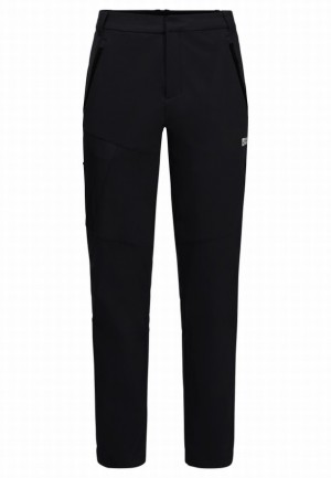 Grey Men Jack Wolfskin Glastal Winter Pants | 39658987