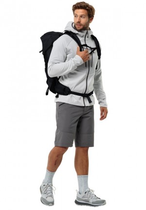 Grey Men Jack Wolfskin Hiking Alpine Shorts | 91630502