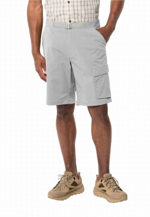 Grey Men Jack Wolfskin Wanderthirst Shorts | 77672613