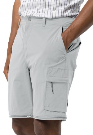 Grey Men Jack Wolfskin Wanderthirst Zip Pants | 46689839