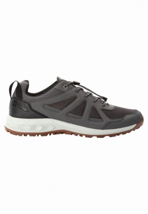 Grey Men Jack Wolfskin Woodland 2 Vent Low Hiking Shoes | 40456545