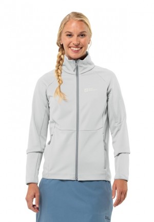 Grey Women Jack Wolfskin Alpgrat Fz Fleece Jackets | 43664988