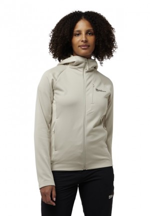 Grey Women Jack Wolfskin Alpgrat Xt Fleece Jackets | 78953591