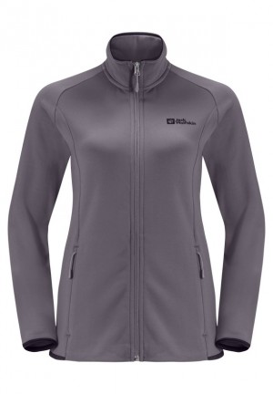Grey Women Jack Wolfskin Baiselberg Fz Fleece Jackets | 35566083