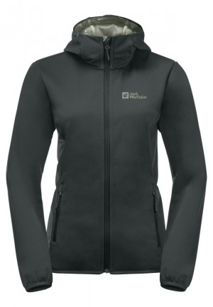 Grey Women Jack Wolfskin Bornberg Hoody Jackets | 51750572