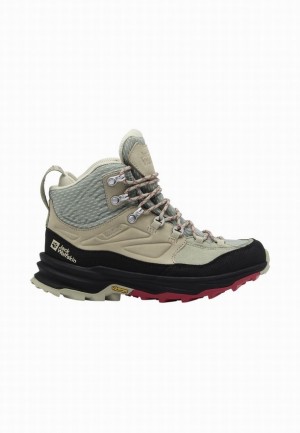 Grey Women Jack Wolfskin Cyrox Texapore Mid Hiking Shoes | 93143579