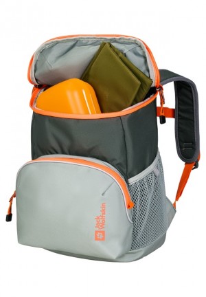 Grey Women Jack Wolfskin Erlebnis Backpacks | 79154981