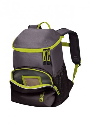 Grey Women Jack Wolfskin Erlebnis Backpacks | 63355595