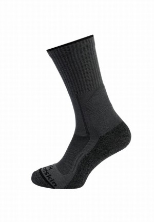 Grey Women Jack Wolfskin Hike Func Cl C Socks | 32148105