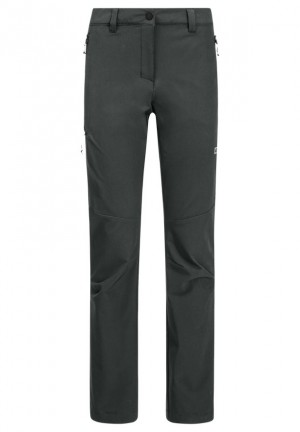 Grey Women Jack Wolfskin Holdsteig Hiking Pants | 25899929