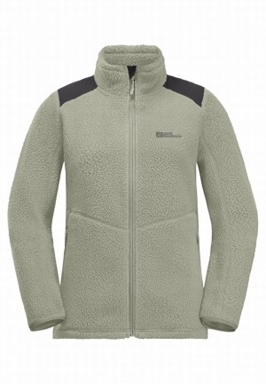 Grey Women Jack Wolfskin Kammweg Pile Fz Fleece Jackets | 19175487