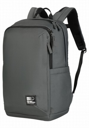 Grey Women Jack Wolfskin Smileyworld Daypack | 68763159