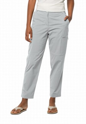 Grey Women Jack Wolfskin Wanderthirst Pants | 61309711