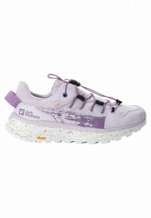 Lavender Women Jack Wolfskin Terraquest Low Hiking Shoes | 83340418
