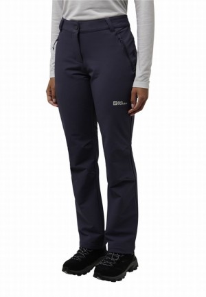 Navy Women Jack Wolfskin Activate Thermic Hiking Pants | 61418851