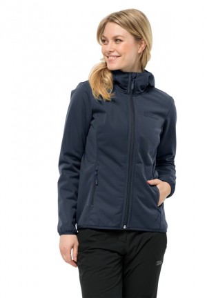 Navy Women Jack Wolfskin Bornberg Hoody Jackets | 16216485