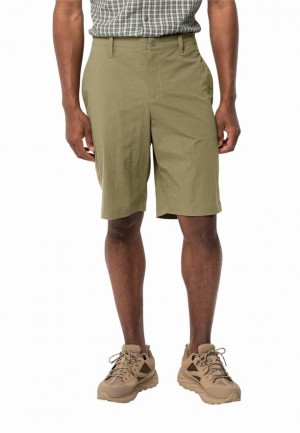 Olive Men Jack Wolfskin Desert Shorts | 92619389