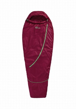 Pink Men Jack Wolfskin Grow Up Dreamer Sleeping Bag | 35515769