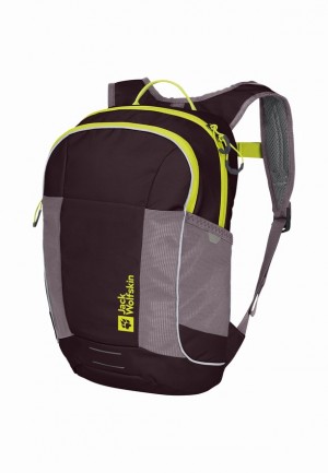 Purple Men Jack Wolfskin Moab Jam Backpacks | 44532199