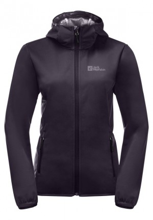 Purple Women Jack Wolfskin Bornberg Hoody Jackets | 57048423