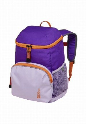 Purple Women Jack Wolfskin Erlebnis Backpacks | 41667912