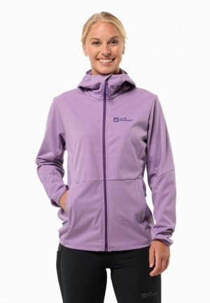 Purple Women Jack Wolfskin Feldberg Hoody Softshell Jackets | 94831052