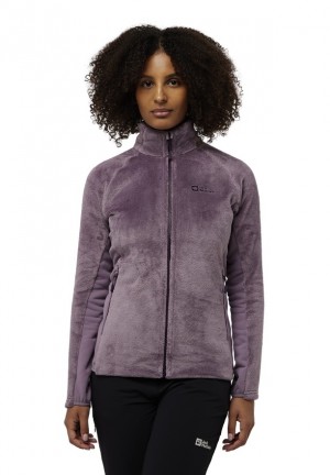 Purple Women Jack Wolfskin Rotwand Fz Fleece Jackets | 87367006