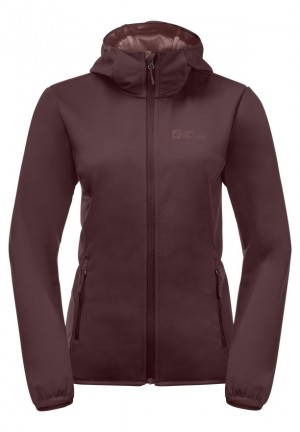 Red Women Jack Wolfskin Bornberg Hoody Jackets | 99018423