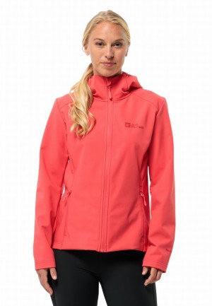 Red Women Jack Wolfskin Bornberg Hoody Softshell Jackets | 29530985