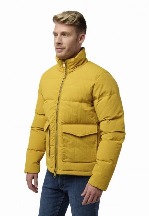 Yellow Men Jack Wolfskin Nordlicht Down Jackets | 95220741