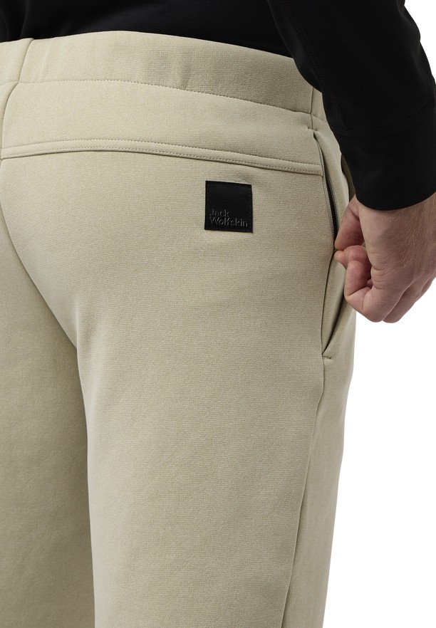 Beige Men Jack Wolfskin Wanderest Hiking Pants | 55073422