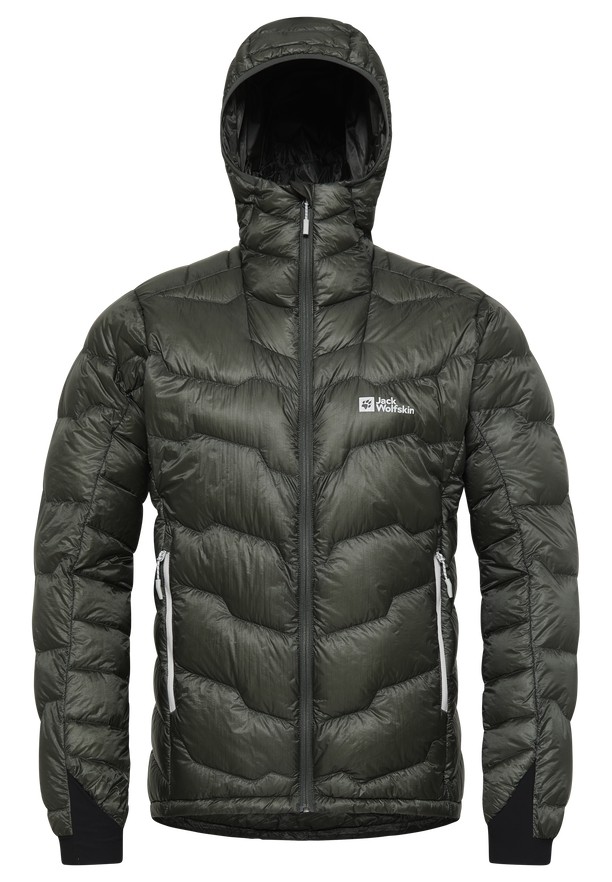 Black Men Jack Wolfskin Alpspitze Hoody Down Jackets | 58916171